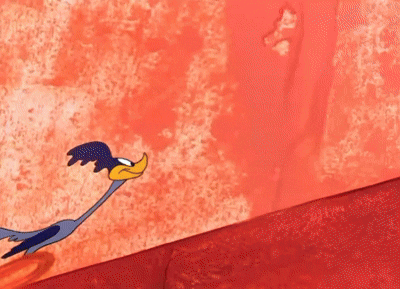 Wile E Coyote Road Runner GIF