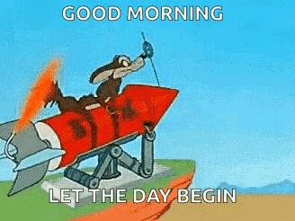 Wiley Coyote GIF
