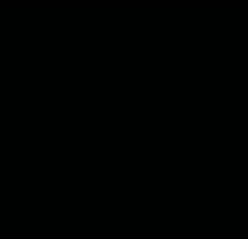 Will Wood Hog GIF