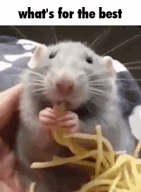 Will Wood Tomcat Disposables GIF. This 200 x 272 animated GIF is part of our pizza rat collection. Related themes include rat. Created by pat464kzxc. View…