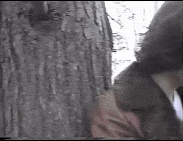 William Hellfire Infamous Bondage Murders 1 GIF