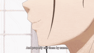 Wind Breaker Anime GIF