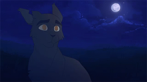 Wind Clan Warrior Cats GIF