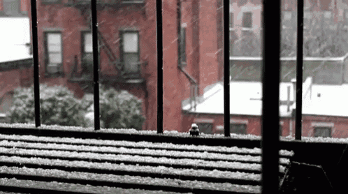 Window Glass GIF