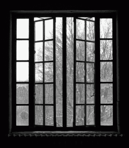 Window Raining GIF