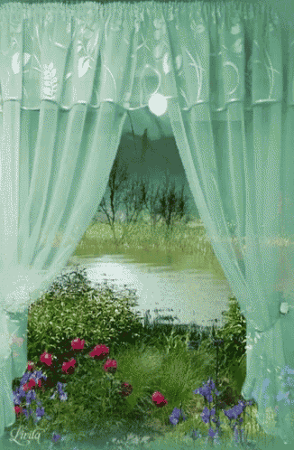 Window View GIF