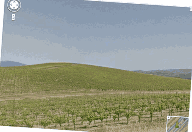 Windows Xp GIF