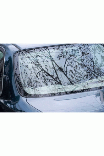 Windshield Replacement Companies Near Me Free Auto Glass Replacement GIF