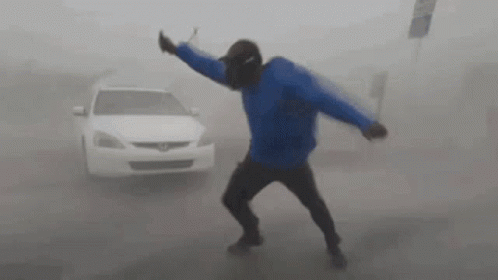 Windy GIF