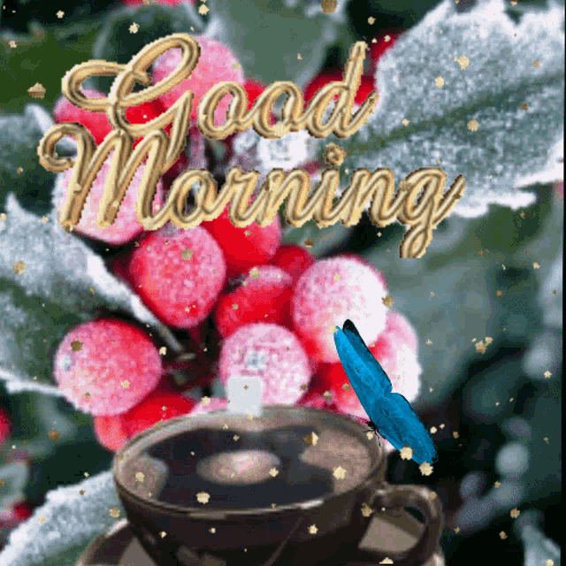 Winter Morning GIF
