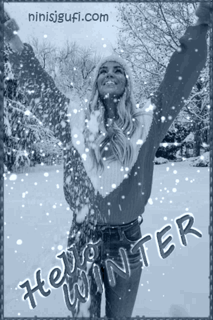 Winter Snow GIF