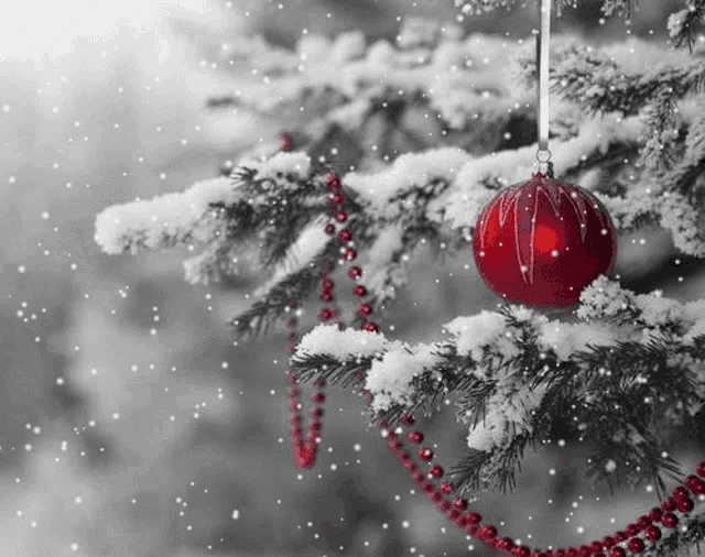 Winter Snow GIF