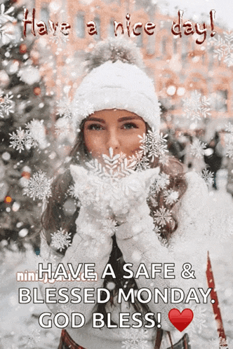 Winter Snowflakes GIF