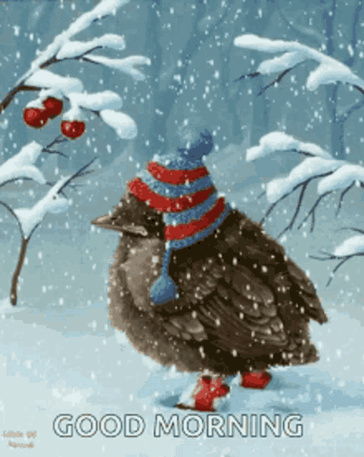 Winter Winter Is Coming GIF