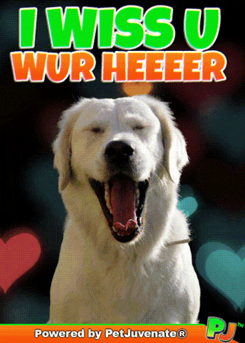 Wish You Were Here Miss You GIF
