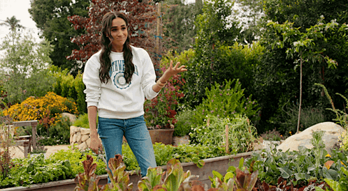 With Love Meghan Netflix GIF. This 498 x 274 animated GIF is part of our meghan markle collection. Created by bendoverr. View the original animation, share…