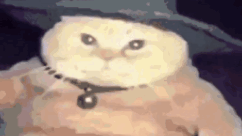 Wizard Cat Lightning GIF. This 498 x 281 animated GIF is part of our lustiges gewitter collection. Related themes include lightning. Created by Enee. View…