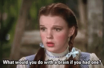 Wizard Of Oz Dumb GIF. This 340 x 222 animated GIF is part of our stupid is as stupid does collection. Related themes include stupid. Created by rcrdcsnv…