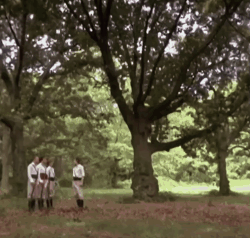 Wkuk Whitest Kids U Know GIF. This 498 x 473 animated GIF is part of our firing squad collection. Created by bigbigbigcodyfan. View the original animation…