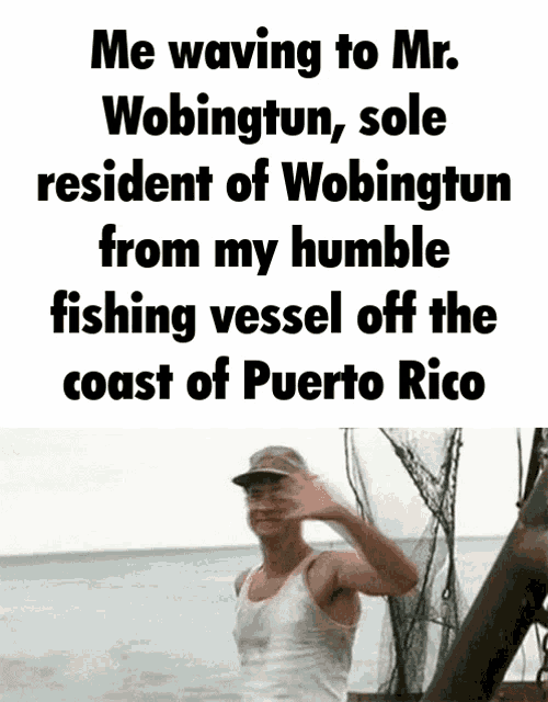 Wobingtun Mr Wobingtun GIF