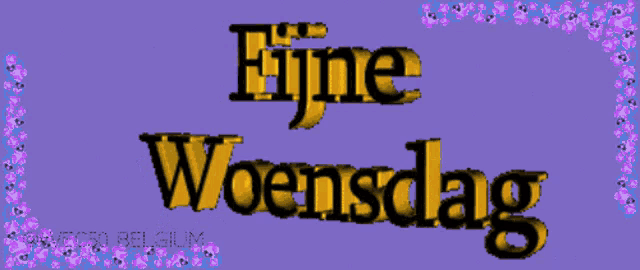 Woensdag Vec50 GIF