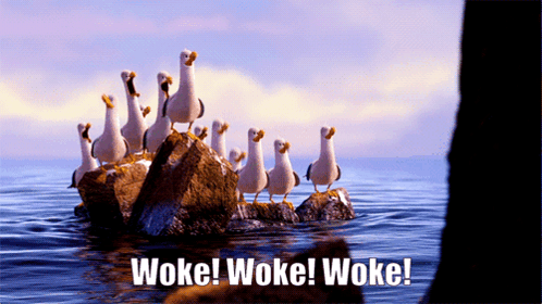 Woke Wokisme GIF. This 498 x 280 animated GIF is part of our mine mine mine collection. Created by BooQC. View the original animation, share it, or browse…