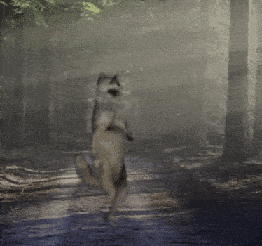 Wolf Dance Dance Wolf GIF