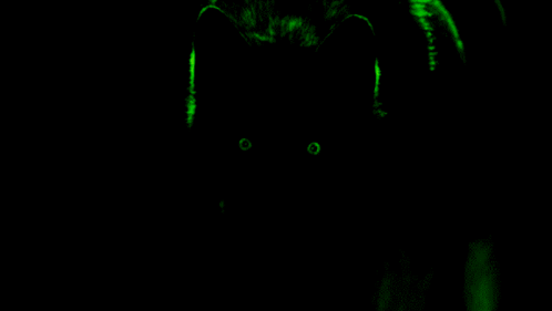 Wolf Green Eyes GIF