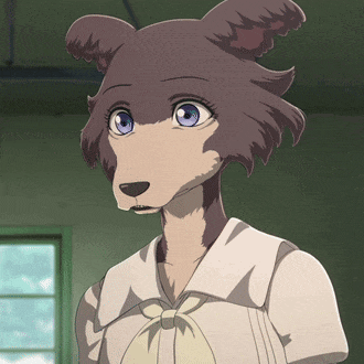 Wolf Grey Wolf GIF