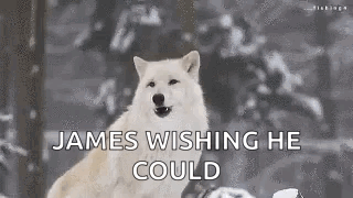 Wolf Howl GIF. This 320 x 180 animated GIF is part of our running wolf collection. Related themes include wolf. Created by waynekei. View the original…