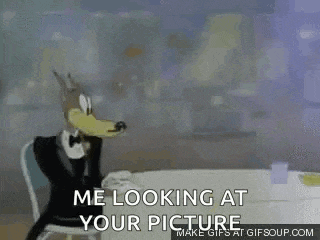 Wolf GIF