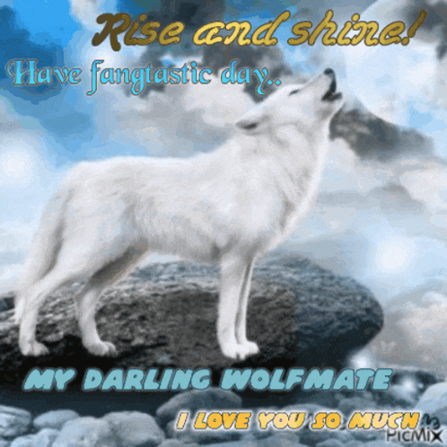 Wolf Mate I Love You GIF