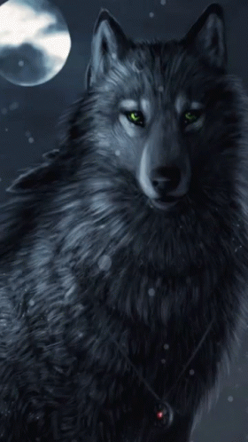 Wolf GIF. This 280 x 498 animated GIF is part of our running wolf collection. Related themes include wolf. View the original animation, share it, or browse…