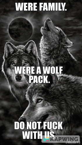 Wolf Pack Family GIF. This 281 x 498 animated GIF is part of our moving backgrounds collection. Created by thedippers. View the original animation, share…