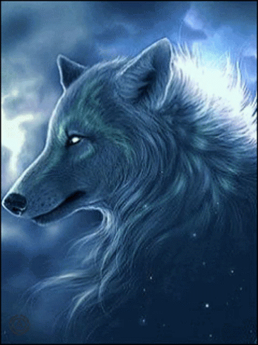 Wolf Pack Of Wolves GIF. This 373 x 498 animated GIF is part of our running wolf collection. Related themes include wolf. Created by ErikTrujillo. View the…
