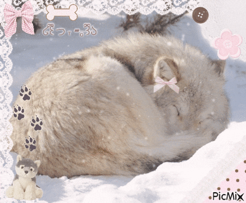 Wolf Silly Wolf GIF