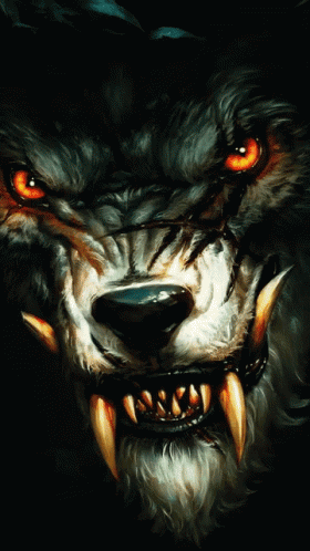 Wolfman GIF. This 280 x 498 animated GIF is part of our saber lion collection. View the original animation, share it, or browse related GIFs.