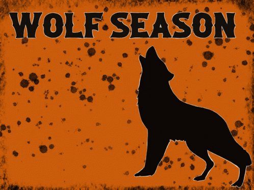 Wolfseason Wolfseasonrun GIF. This 498 x 373 animated GIF is part of our running wolf collection. Related themes include wolf. Created by tajn77. View the…