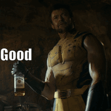 Wolverine Deadpool GIF