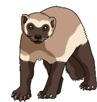 Wolverine Sticker