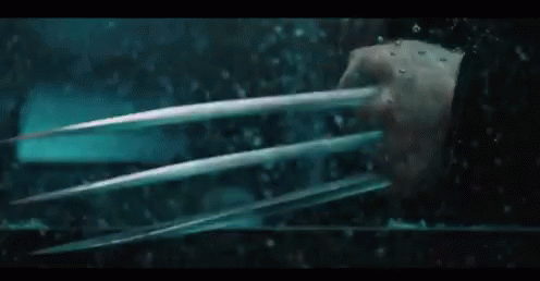 Wolverine Rage GIF. This 496 x 258 animated GIF is part of our red dawn wolverines collection. Related themes include rage. View the original animation…