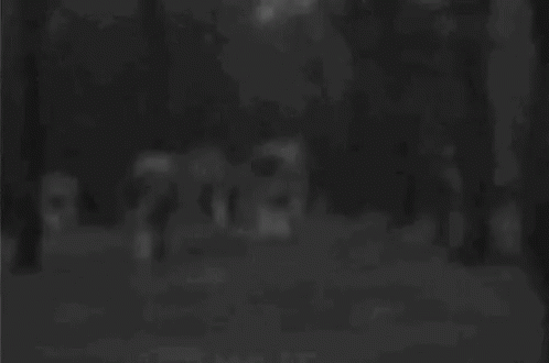 Wolves Michael Eklund GIF. This 498 x 330 animated GIF is part of our running wolf collection. Created by katieskynetLester. View the original animation…