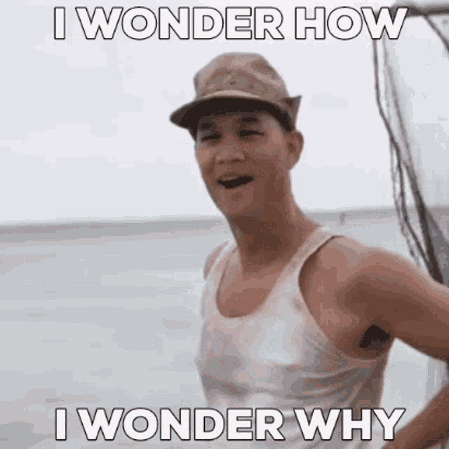 Wonder How Wonder Why GIF