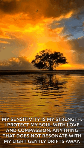 Wonders Of Nture Nature GIF
