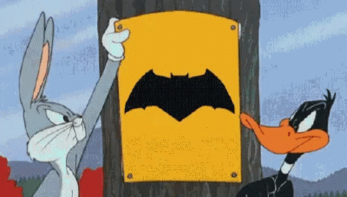 Wonderwoman Wtf GIF
