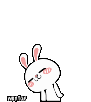 Wontae Hiper Rabbit Sticker
