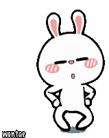Wontae Hiper Rabbit Sticker