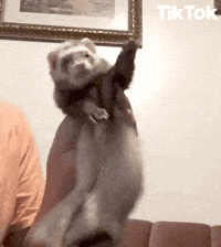 Woo Dance GIF