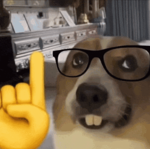 Woodz Nerd GIF
