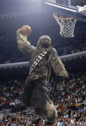 Wookie Meme